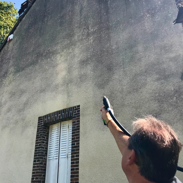 Abeille Verte : focus sur une franchise écoresponsable et innovante dans le traitement des surfaces bâties