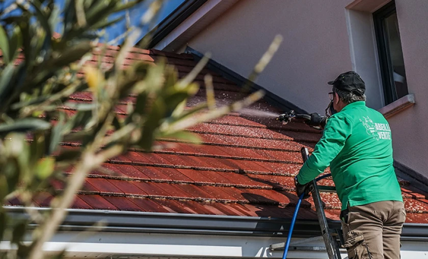 Pourquoi "La Ruche" révolutionne-t-elle le démoussage de toiture ?