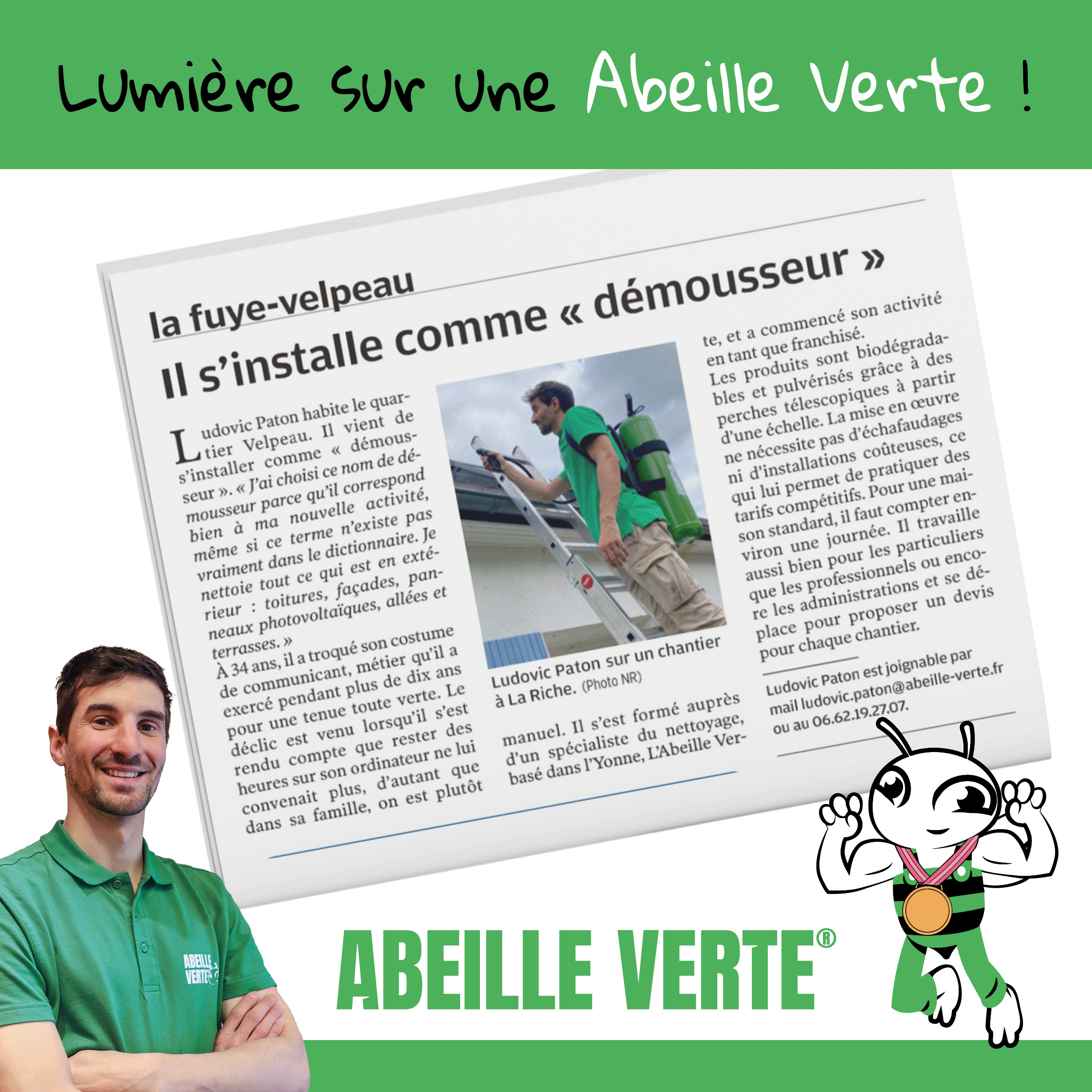 Lumière sur une Abeille Verte