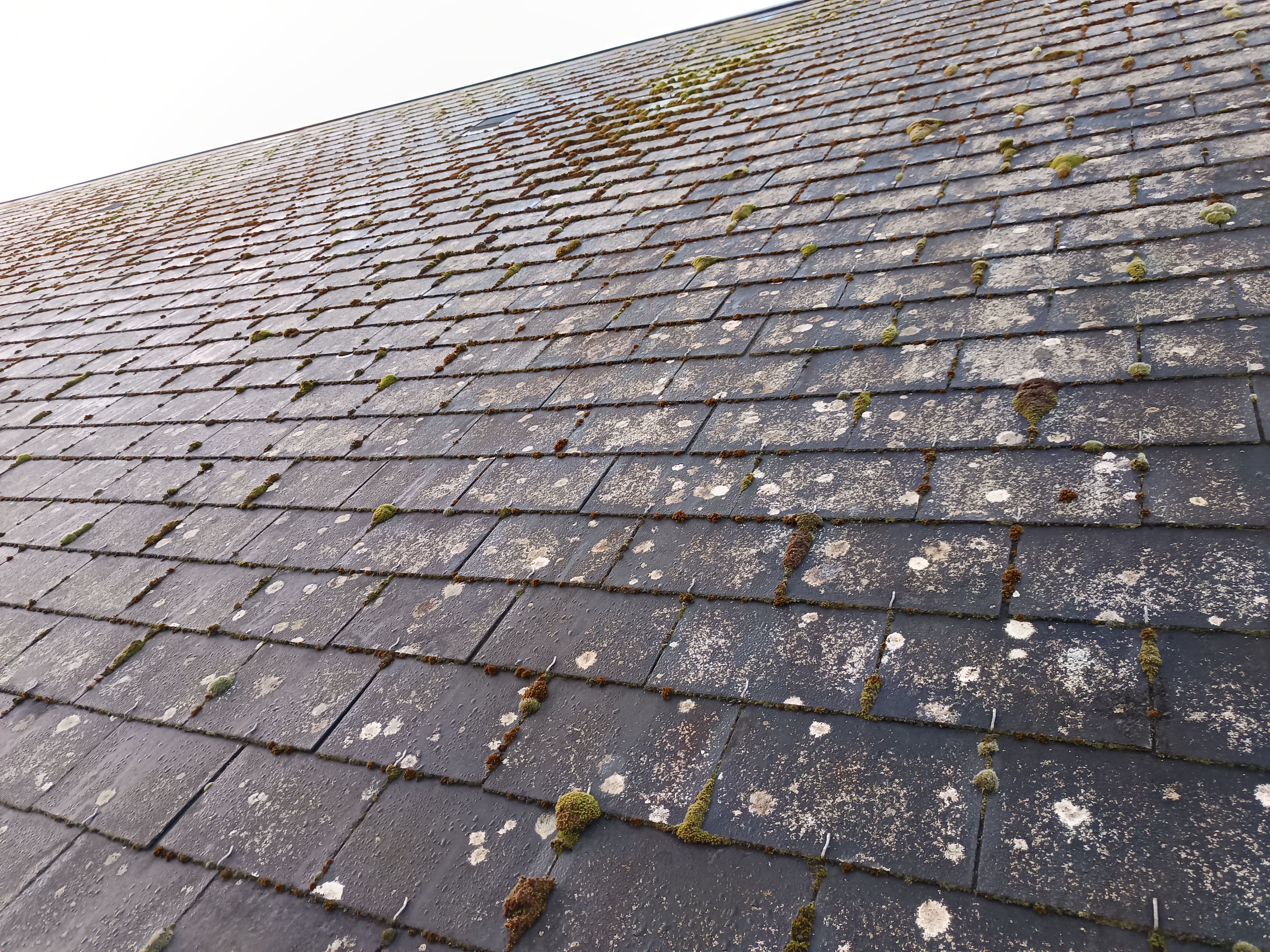 Démoussage toiture Joué-lès-tours