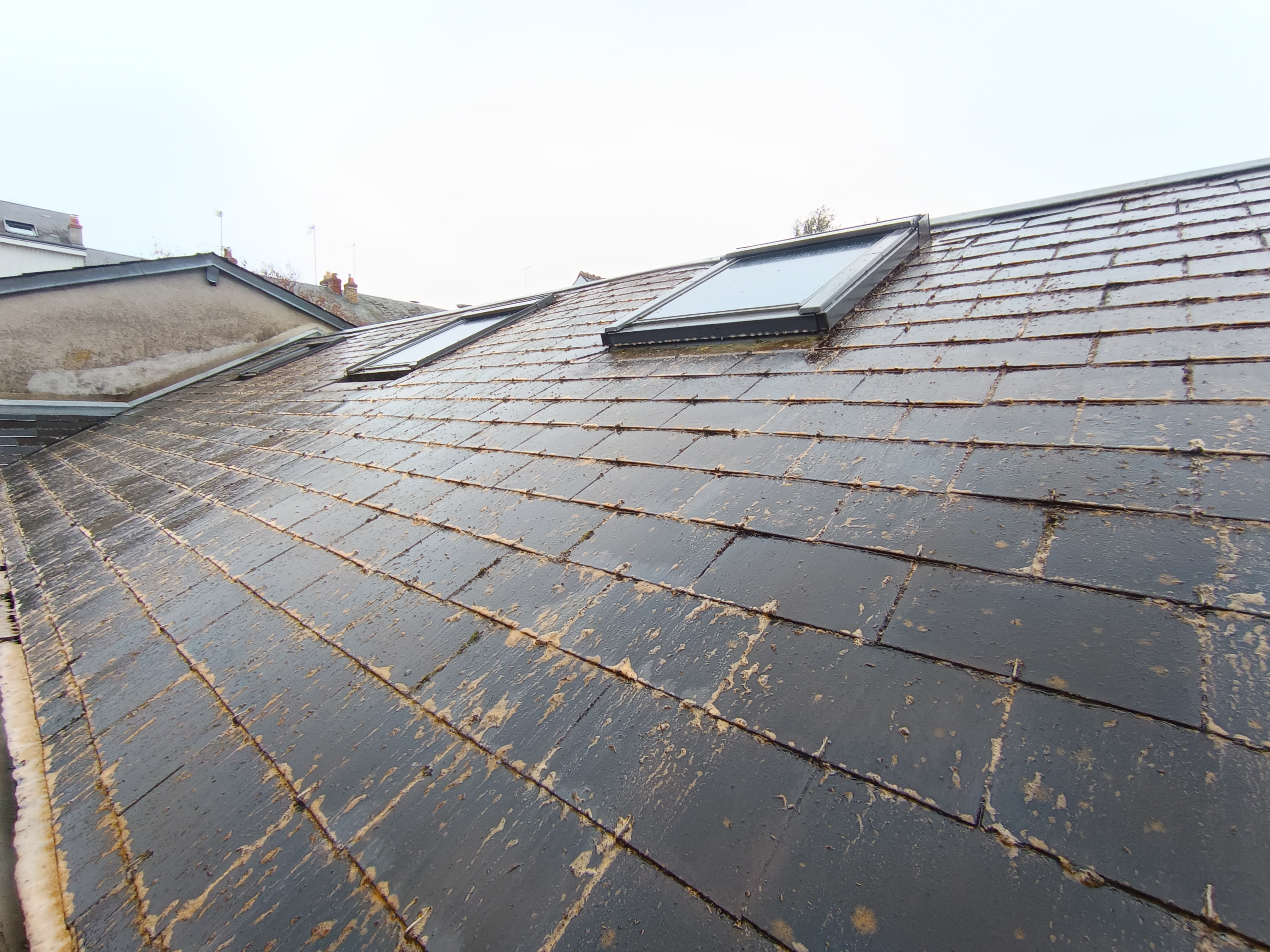 Démoussage toiture en ardoise synthétique à Tours Tours